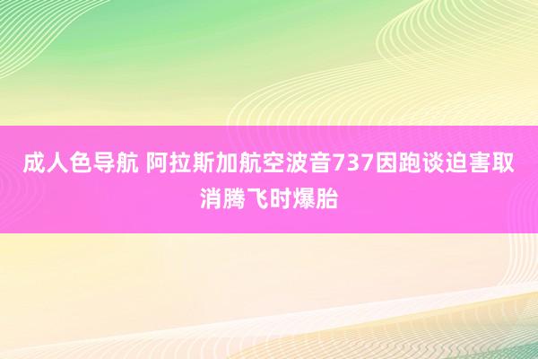 成人色导航 阿拉斯加航空波音737因跑谈迫害取消腾飞时爆胎