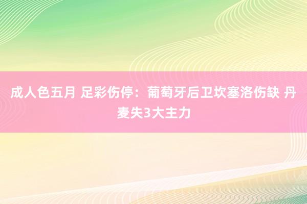 成人色五月 足彩伤停：葡萄牙后卫坎塞洛伤缺 丹麦失3大主力