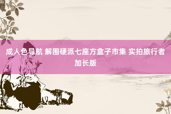 成人色导航 解围硬派七座方盒子市集 实拍旅行者加长版