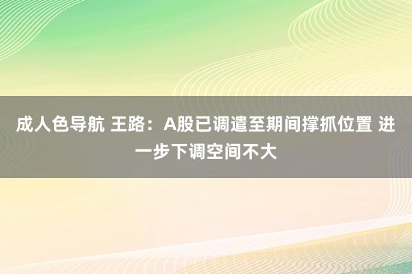 成人色导航 王路：A股已调遣至期间撑抓位置 进一步下调空间不大